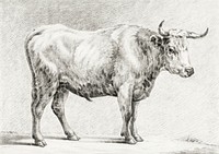 Standing bull by <a href="https://www.rawpixel.com/search/Jean%20Bernard?sort=curated&amp;page=1">Jean Bernard</a> (1775-1883). Original from The Rijksmuseum. Digitally enhanced by rawpixel.