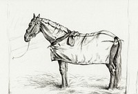Horse standing in stable with blanket (1818) by <a href="https://www.rawpixel.com/search/Jean%20Bernard?sort=curated&amp;page=1">Jean Bernard</a> (1775-1883). Original from the Rijks Museum. Digitally enhanced by rawpixel.