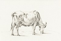 Standing cow by <a href="https://www.rawpixel.com/search/Jean%20Bernard?sort=curated&amp;page=1">Jean Bernard</a> (1775-1883). Original from The Rijksmuseum. Digitally enhanced by rawpixel.