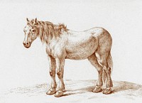 Standing horse by <a href="https://www.rawpixel.com/search/Jean%20Bernard?sort=curated&amp;page=1">Jean Bernard</a> (1775-1883). Original from The Rijksmuseum. Digitally enhanced by rawpixel.