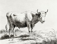 Standing cow by <a href="https://www.rawpixel.com/search/Jean%20Bernard?sort=curated&amp;page=1">Jean Bernard</a> (1775-1883). Original from the Rijks Museum. Digitally enhanced by rawpixel.