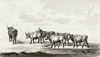 Group of six bulls by <a href="https://www.rawpixel.com/search/Jean%20Bernard?sort=curated&amp;page=1">Jean Bernard</a> (1775-1883). Original from The Rijksmuseum. Digitally enhanced by rawpixel.