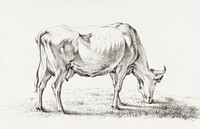 Grazing cow by <a href="https://www.rawpixel.com/search/Jean%20Bernard?sort=curated&amp;page=1">Jean Bernard</a> (1775-1883). Original from The Rijksmuseum. Digitally enhanced by rawpixel.