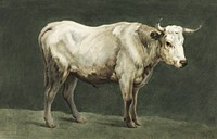 Standing bull painting by <a href="https://www.rawpixel.com/search/Jean%20Bernard?sort=curated&amp;page=1">Jean Bernard</a> (1775-1883). Original from The Rijksmuseum. Digitally enhanced by rawpixel.