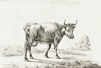 Cow by <a href="https://www.rawpixel.com/search/Jean%20Bernard?sort=curated&amp;page=1">Jean Bernard</a> (1775-1883). Original from The Rijksmuseum. Digitally enhanced by rawpixel.