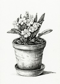Potted plant (1824) by <a href="https://www.rawpixel.com/search/Jean%20Bernard?sort=curated&amp;page=1">Jean Bernard</a> (1775-1883). Original from the Rijks Museum. Digitally enhanced by rawpixel.