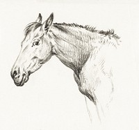 Head of a horse (1825) by <a href="https://www.rawpixel.com/search/Jean%20Bernard?sort=curated&amp;page=1">Jean Bernard</a> (1775-1883). Original from the Rijks Museum. Digitally enhanced by rawpixel.