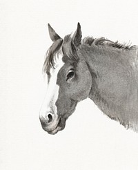 Head of a horse by <a href="https://www.rawpixel.com/search/Jean%20Bernard?sort=curated&amp;page=1">Jean Bernard</a> (1775-1883). Original from The Rijksmuseum. Digitally enhanced by rawpixel.