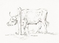 Standing cow, with its head between poles by <a href="https://www.rawpixel.com/search/Jean%20Bernard?sort=curated&amp;page=1">Jean Bernard</a> (1775-1883). Original from The Rijksmuseum. Digitally enhanced by rawpixel.
