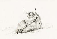 Lying cow (1815) by <a href="https://www.rawpixel.com/search/Jean%20Bernard?sort=curated&amp;page=1">Jean Bernard</a> (1775-1883). Original from The Rijksmuseum. Digitally enhanced by rawpixel.