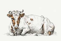 Lying cow by <a href="https://www.rawpixel.com/search/Jean%20Bernard?sort=curated&amp;page=1">Jean Bernard </a>(1775-1883). Original from the Rijks Museum. Digitally enhanced by rawpixel.