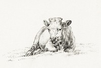 Lying cow (1821) by <a href="https://www.rawpixel.com/search/Jean%20Bernard?sort=curated&amp;page=1">Jean Bernard</a> (1775-1883). Original from the Rijks Museum. Digitally enhanced by rawpixel.