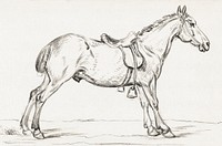 Saddled horse (1823) by <a href="https://www.rawpixel.com/search/Jean%20Bernard?sort=curated&amp;page=1">Jean Bernard</a> (1775-1883). Original from The Rijksmuseum. Digitally enhanced by rawpixel.
