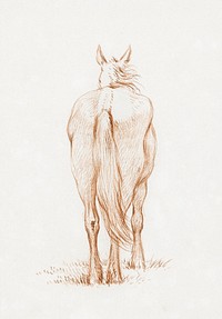 Standing horse (1815) by <a href="https://www.rawpixel.com/search/Jean%20Bernard?sort=curated&amp;page=1">Jean Bernard</a> (1775-1883). Original from The Rijksmuseum. Digitally enhanced by rawpixel.