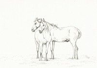 Two horses standing together (1816) by <a href="https://www.rawpixel.com/search/Jean%20Bernard?sort=curated&amp;page=1">Jean Bernard</a> (1775-1883). Original from the Rijks Museum. Digitally enhanced by rawpixel.