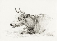 Lying cow (1825) by <a href="https://www.rawpixel.com/search/Jean%20Bernard?sort=curated&amp;page=1">Jean Bernard</a> (1775-1883). Original from The Rijksmuseum. Digitally enhanced by rawpixel.