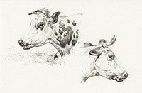 Two studies of the head of a cow (1825) by <a href="https://www.rawpixel.com/search/Jean%20Bernard?sort=curated&amp;page=1">Jean Bernard</a> (1775-1883). Original from The Rijksmuseum. Digitally enhanced by rawpixel.