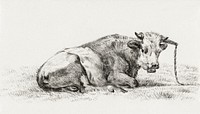 Lying cow (1825) by <a href="https://www.rawpixel.com/search/Jean%20Bernard?sort=curated&amp;page=1">Jean Bernard</a> (1775-1883). Original from The Rijksmuseum. Digitally enhanced by rawpixel.