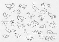 Study sketch of ducks by <a href="https://www.rawpixel.com/search/Julie%20de%20Graag?sort=curated&amp;page=1">Julie de Graag</a> (1877-1924). Original from The Rijksmuseum. Digitally enhanced by rawpixel.