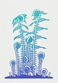 Vintage Illustration of Ferns.