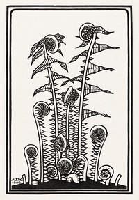 Ferns (1920) by <a href="https://www.rawpixel.com/search/Julie%20de%20Graag?sort=curated&amp;page=1">Julie de Graag</a> (1877-1924). Original from The Rijksmuseum. Digitally enhanced by rawpixel.