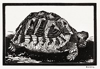 Turtle by <a href="https://www.rawpixel.com/search/Julie%20de%20Graag?sort=curated&amp;page=1">Julie de Graag</a> (1877-1924). Original from The Rijksmuseum. Digitally enhanced by rawpixel
