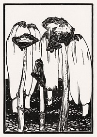 Ink mushrooms (1915) by <a href="https://www.rawpixel.com/search/Julie%20de%20Graag?sort=curated&amp;page=1">Julie de Graag</a> (1877-1924). Original from The Rijksmuseum. Digitally enhanced by rawpixel