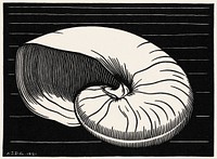 Shell (1921) by <a href="https://www.rawpixel.com/search/Julie%20de%20Graag?sort=curated&amp;page=1">Julie de Graag</a> (1877-1924). Original from The Rijksmuseum. Digitally enhanced by rawpixel.