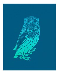 Vintage two owls illustration wall art print and poster.
