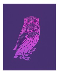 Vintage two owls illustration wall art print and poster.