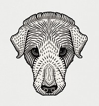 Vintage Illustration of Dog&#39;s head.
