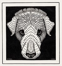 Dog&#39;s head (1920) by <a href="https://www.rawpixel.com/search/Julie%20de%20Graag?sort=curated&amp;page=1">Julie de Graag</a> (1877-1924). Original from The Rijksmuseum. Digitally enhanced by rawpixel.