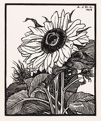 Sunflower (1919) by <a href="https://www.rawpixel.com/search/Julie%20de%20Graag?sort=curated&amp;page=1">Julie de Graag</a> (1877-1924). Original from The Rijksmuseum. Digitally enhanced by rawpixel.