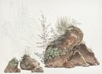 Overgrown Rocks (ca. 1809&ndash;1812) by <a href="https://www.rawpixel.com/search/Joseph%20August%20Knip?sort=curated&amp;page=1">Joseph August Knip</a>. Original from The Rijksmuseum. Digitally enhanced by rawpixel.