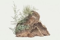 Overgrown Rocks (ca. 1809&ndash;1812) by <a href="https://www.rawpixel.com/search/Joseph%20August%20Knip?sort=curated&amp;page=1">Joseph August Knip</a>. Original from The Rijksmuseum. Digitally enhanced by rawpixel.