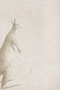 Kangaroo banner vintage illustration template