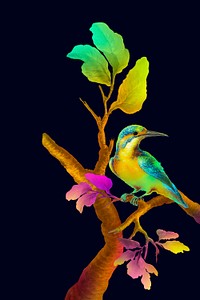 Colorful bird on branch on black background illustration template