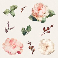 Vintage floral collection iillustration collection template