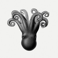 Vintage small black octopus illustration
