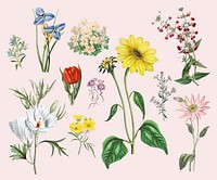 Colorful vintage floral decoration vector set