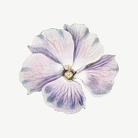 Vintage mallow flower psd cut out