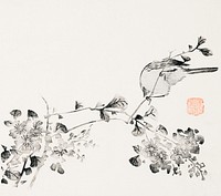 Page from Shi Zhu Zhai (1644&ndash;1911) print in high resolution by Hu Zhengyan. Original from The MET Museum. Digitally enhanced by rawpixel.