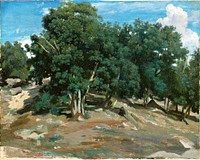 Fontainebleau: Oak Trees at Bas-Br&eacute;au (1832 or 1833) by <a href="https://www.rawpixel.com/search/Camille%20Pissarro?sort=curated&amp;page=1">Camille Pissarro</a>. Original from The MET museum. Digitally enhanced by rawpixel.