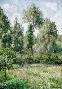 Poplars, éragny (1895) by Camille Pissarro. Original from The MET museum. Digitally enhanced by rawpixel.