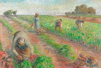 The Beet Harvest (1881) painting in high resolution by Camille Pissarro. Original from the Minneapolis Institute of Art. Digitally enhanced by rawpixel.