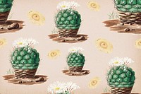 Vintage green cactus with flower illustration pattern background