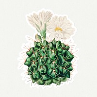 Vintage black chin cactus sticker with white border