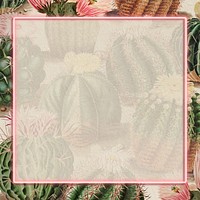 Rectangle pink neon frame on vintage cactus background design element