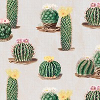 Vintage green cactus with flower illustration pattern background