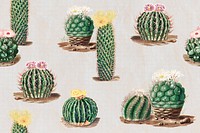 Vintage green cactus with flower illustration pattern background